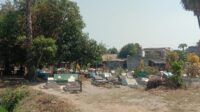 IMG-20260929-WA0008